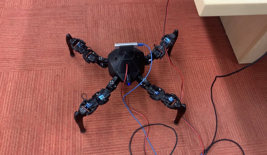 Self-modeling reinforcement learning robot prototype